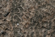 IMG_6780.JPG