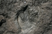 IMG_6782.JPG