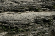IMG_6729.JPG