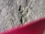 P1010017.JPG