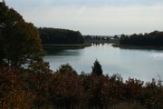IMG_7370.JPG