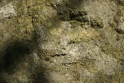 IMG_7383.JPG