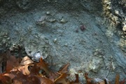 IMG_7384.JPG