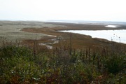 IMG_7387.JPG