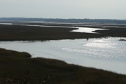 IMG_7389.JPG