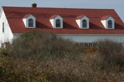 IMG_7396.JPG