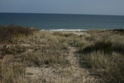 IMG_7397.JPG