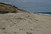 IMG_7399.JPG