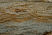 IMG_7403.JPG