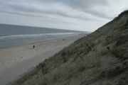 IMG_7405.JPG