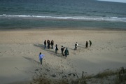 IMG_7406.JPG