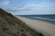 IMG_7407.JPG