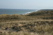 IMG_7412.JPG