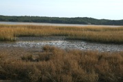 IMG_7417.JPG