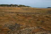 IMG_7419.JPG