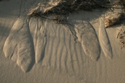 IMG_7424.JPG