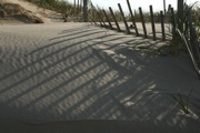 IMG_7425.JPG