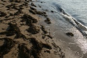 IMG_7427.JPG