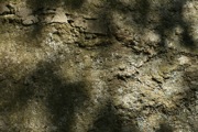 IMG_7380.JPG
