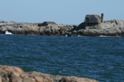 IMG_7461.JPG