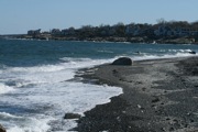 IMG_7466.JPG