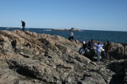 IMG_7482.JPG