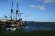 IMG_7435.JPG