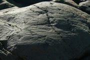 IMG_7485.JPG
