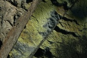 IMG_7486.JPG