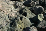 IMG_7489.JPG