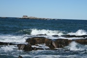 IMG_7498.JPG