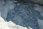 IMG_7500.JPG