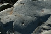 IMG_7504.JPG