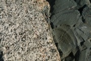 IMG_7506.JPG