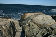 IMG_7509.JPG