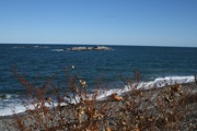 IMG_7438.JPG