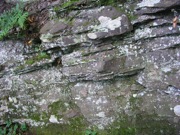 P1010010.JPG