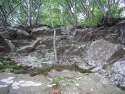 P1010011.JPG