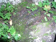 P1010013.JPG