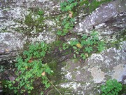 P1010015.JPG