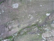 P1010017.JPG