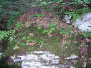 P1010002.JPG