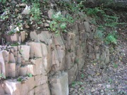 P1010021.JPG
