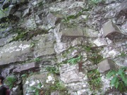 P1010003.JPG