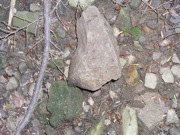P1010036.JPG