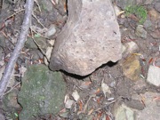 P1010037.JPG