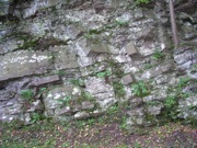 P1010004.JPG