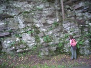 P1010005.JPG