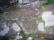 P1010007.JPG