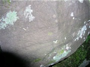 P1010008.JPG